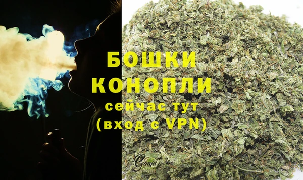 ГАЛЛЮЦИНОГЕННЫЕ ГРИБЫ Наволоки