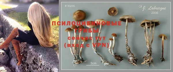 кокс Нефтекумск