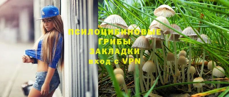 Псилоцибиновые грибы Magic Shrooms  hydra зеркало  Ленск 